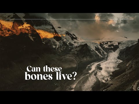 Can these bones live? | Dave Schnitter