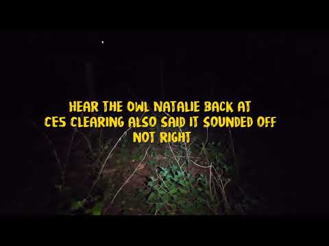 Rendlesham Forest Unnatural: Something is Here.