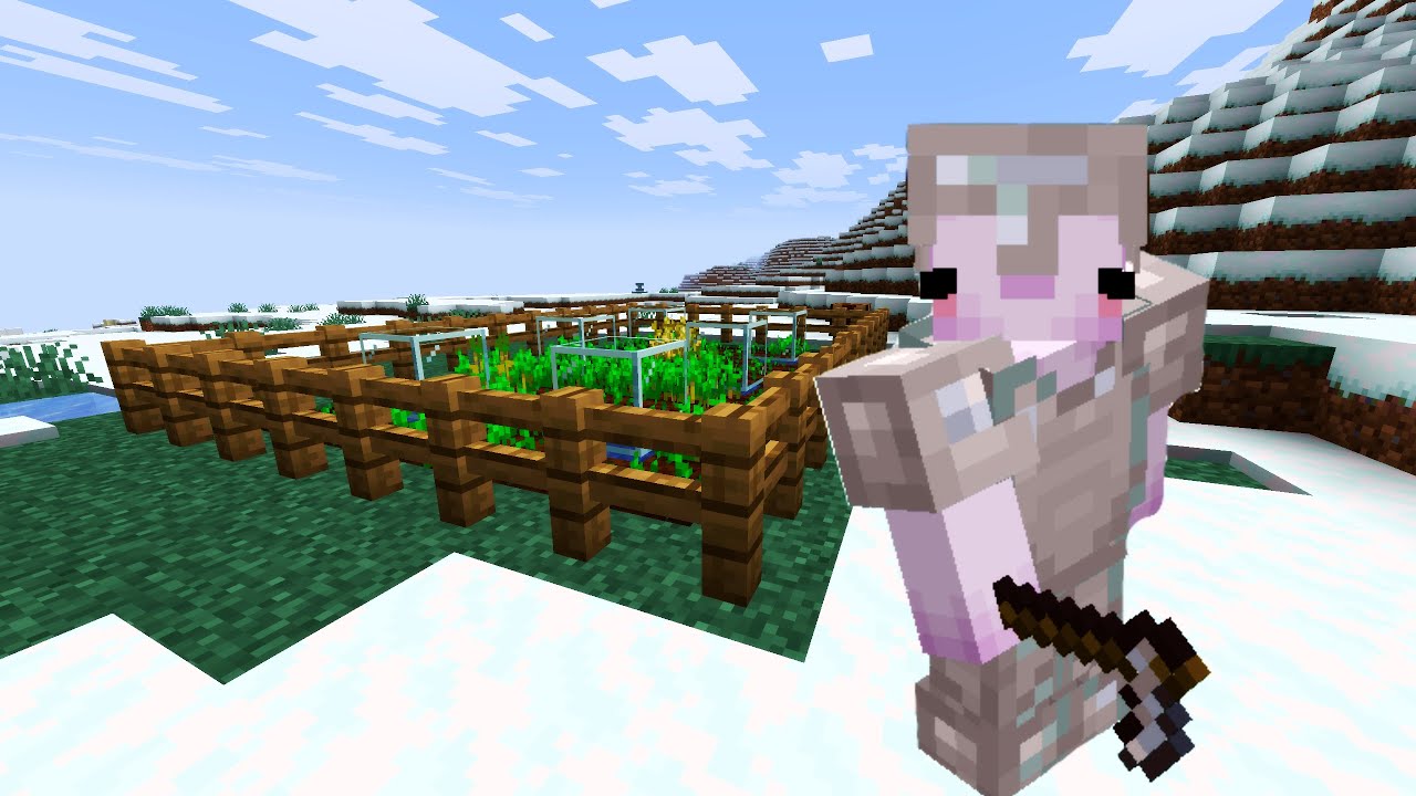 survival vanilla lets play | small upgrades