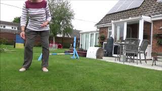 Agility garden May 19 by Joan Clarke 23 views 4 years ago 2 minutes, 25 seconds