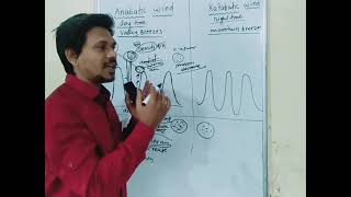 What is anabatic wind and katabatic wind || what is valley breezes ||what is mountain breezes| #wind