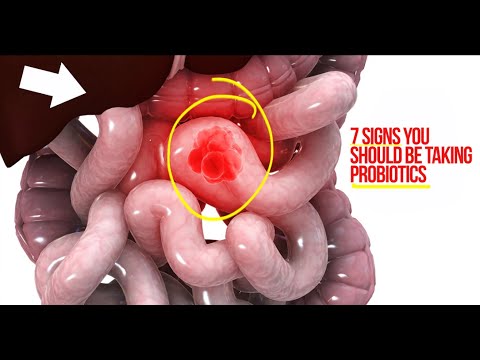 7-signs-you-should-be-taking-probiotics-for-healthy-gut-flora