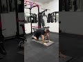 World Greatest Stretch