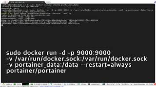 Docker portainer arm64 for beginner