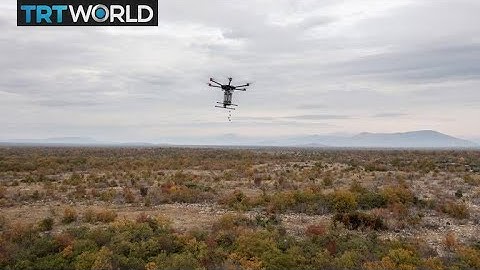 Biotech start-up aims to curb deforestation with drones | Money Talks