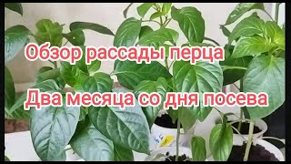 :     .