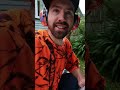Taking day 30 OFF