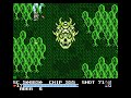 The Guardian Legend Secret Edition (NES) - TGL Mode Corridor 4