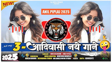 🔥 3 नए आदिवासी गाने - || Aadiwasi Dj Remixe Song 2025 || Anil piplaj Rakesh dudwe new timali songs