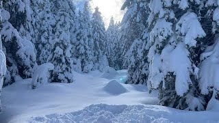 Andalo Trentino Alto Adige in 4K  tanta neve, #neve #dolomiti #trentinoaltoadige  #t4k #italia #