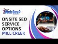 Onsite SEO Service Options Mill Creek