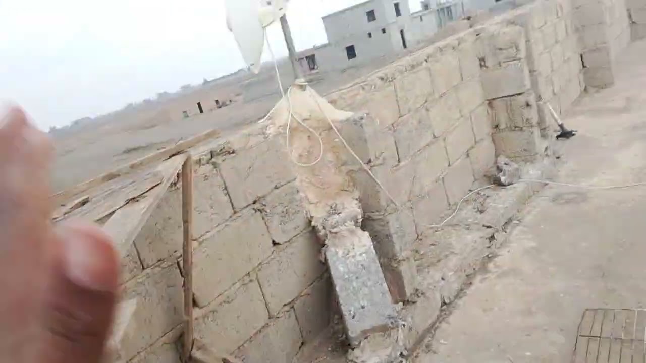 اخوان الواتات راحر 🙀🙀. وصدنه تار  🤩 وصدنه زاجل✌️👌