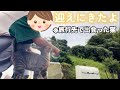 旅行先で出会った猫を迎えに行きました｜クレームの絶えない野良猫