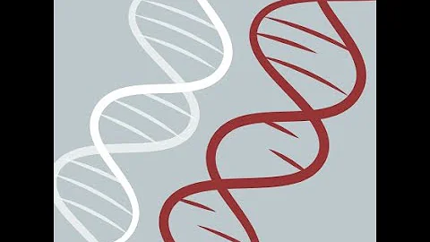 CBWs Cancer Analysis workshop - 08: Genes to Pathw...