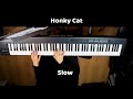 Elton John Honky Cat Mini Piano Lesson mp3