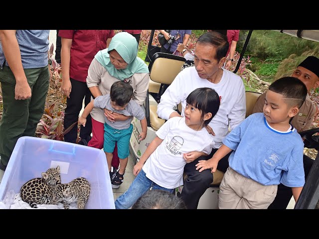 Presiden Jokowi Ajak Cucu Bermain Mengenal Satwa, Kabupaten Deli Serdang, 13 April 2024 class=