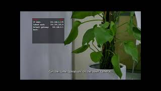 how to use NDI camera's tally light function on vMix