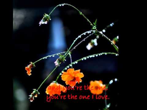 You're the One "The Carpenters" lyrics