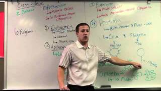Kingdoms,Density,bouyancy,viscosity.mp4