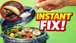 How to Get Rid of Maggots Naturally ( 7 Proven Methods)