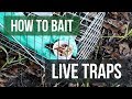 How to Bait Live Animal Traps: Live Trapping Tips