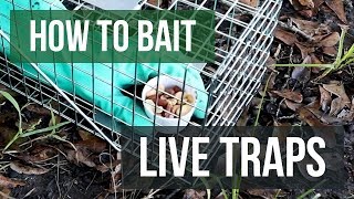 How to Bait Live Animal Traps: Live Trapping Tips