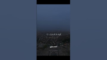 ولا تكونوا كالذين نسوا الله فأنساهم أنفسهم أولئك هم الفاسقون ـ سورة الحشر ـ ماهر المعيقلي #قرآن