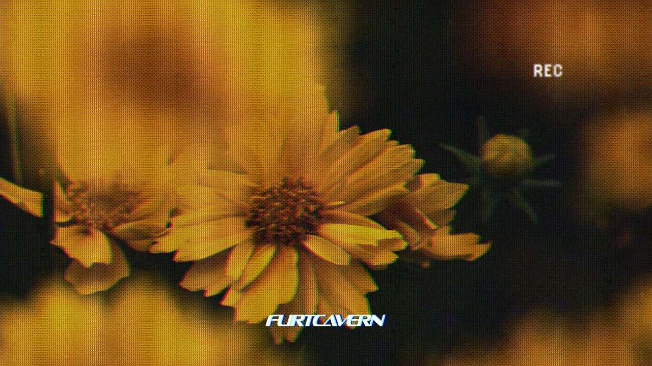 Watch canary yellow - Intima (feat. Allegra Miles) on YouTube Watch canary yellow - Intima (feat. Allegra Miles) on YouTube