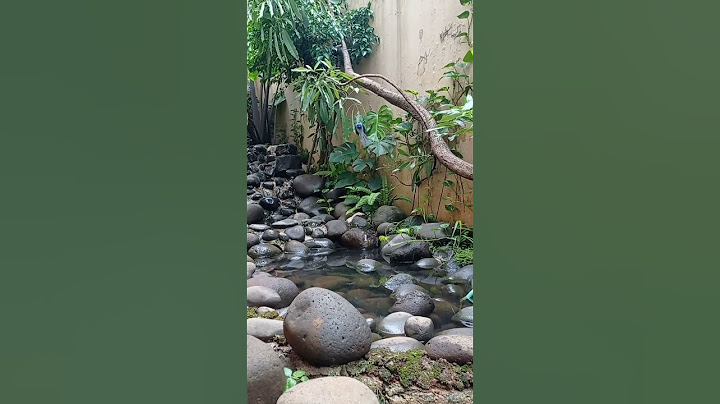 aviary mini #muraibatu #muraitrotolgacor #aviary