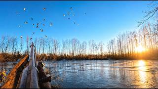 Duck Hunting TIMBER ICE HOLE on Closing Day!