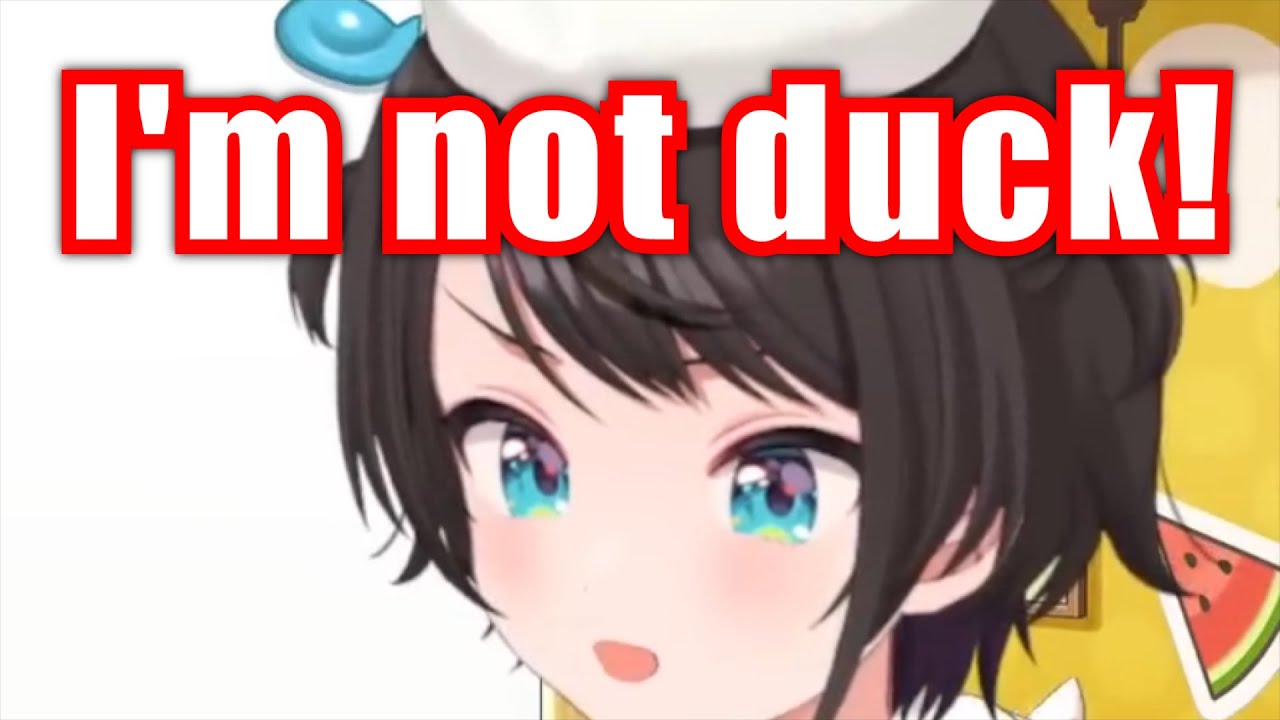 Everyone Thinks That Subaru Is A Duck But...【Hololive】