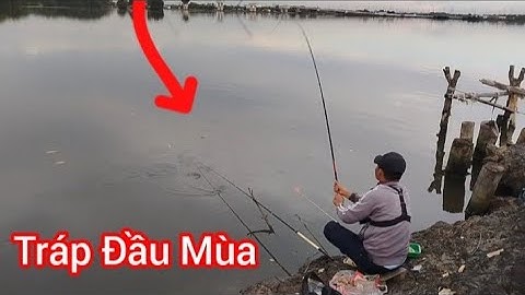 Câu Tráp Đầu Mùa Bằng Cần Câu Tay Câu Đùng Bà Rịa Vũng Tàu/ Đam mê câu cá