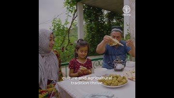 Celebrating 80 Years of integrating Climate, Biodiversity and Environment