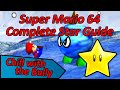 Chill with the Bully - Super Mario 64 Complete Star Guide