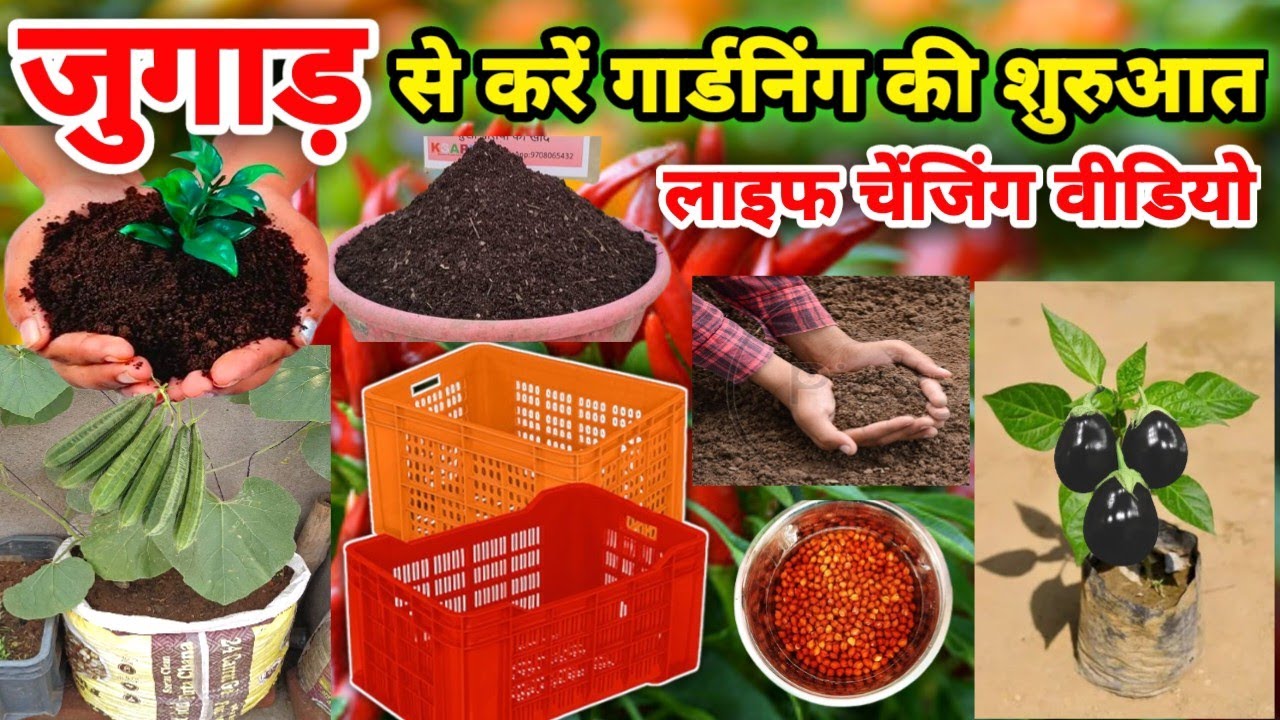 Ghar Ke chhat per sabjiyan ugane ka ideas | jugaad se home gardening ki shuruaat 