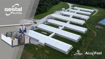 Improving Performance in Sow Farms with GESTAL Quattro | AcuFast & Jyga Technologies