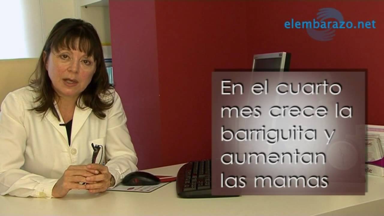 La mamá en el cuarto mes de embarazo - YouTube La mamá en el cuarto mes de embarazo - YouTube