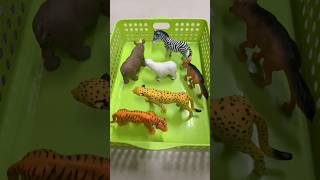 ASMR Plastic Animals Tapping Sounds #toys