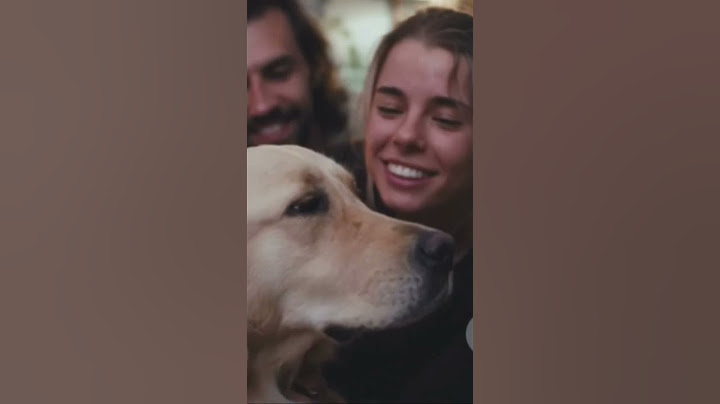 Max little moments with family #max #pets