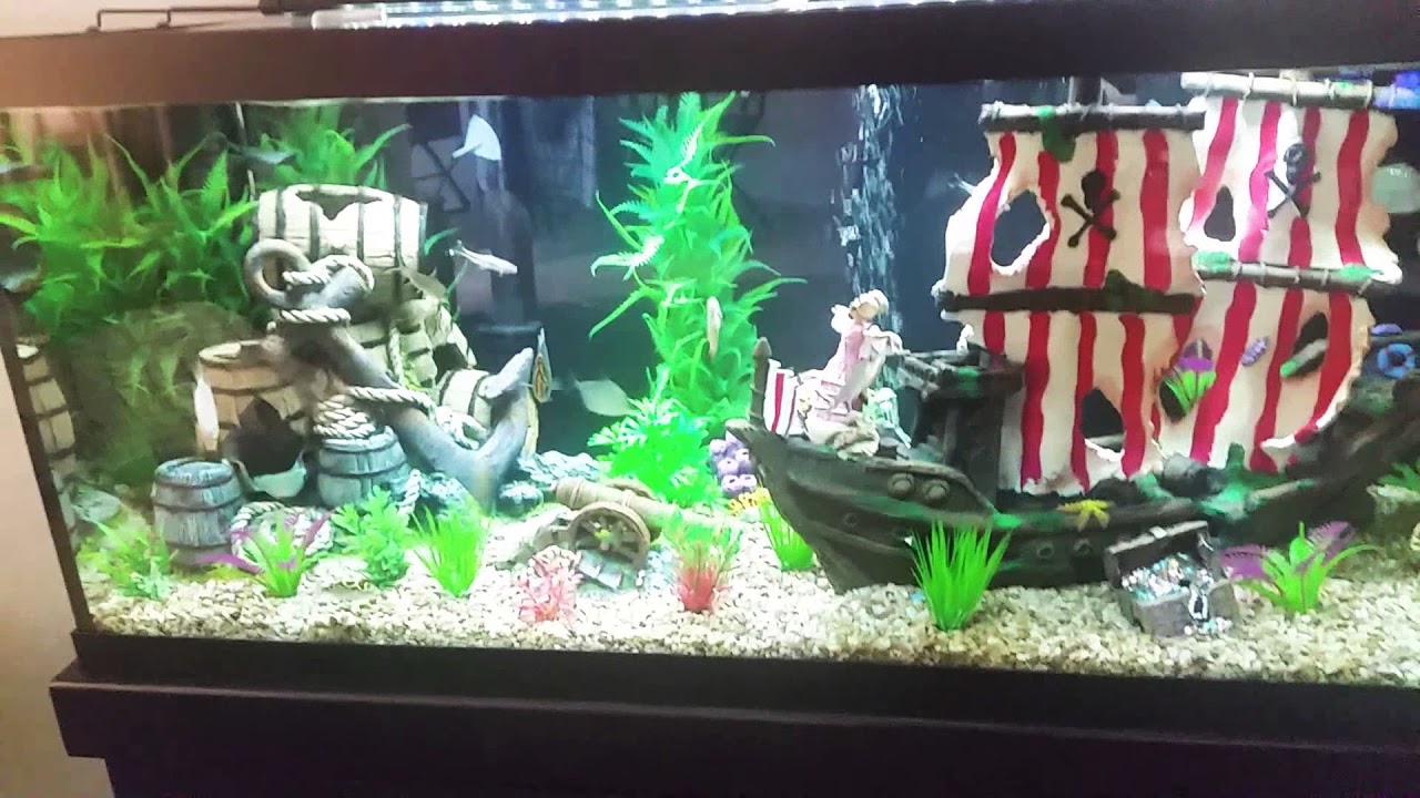 Pirate Theme Fish Tank YouTube Maxresdefault