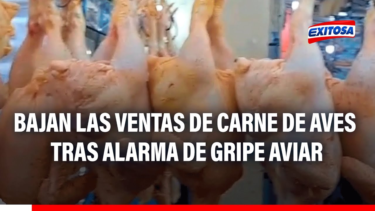 Trujillo: Venden pescado congelado en mercados a causa de los oleajes  anómalos - Exitosa Noticias