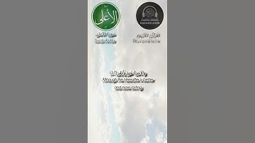 من سورة الأعلى 🤍 #kuranelkrim #جزء_عم #المصحف #القرآن #اكسبلور #قران_كريم