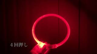 DeLoreans光る首輪