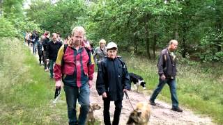 Hondenwandeling Hadog Dd 24 06 2012