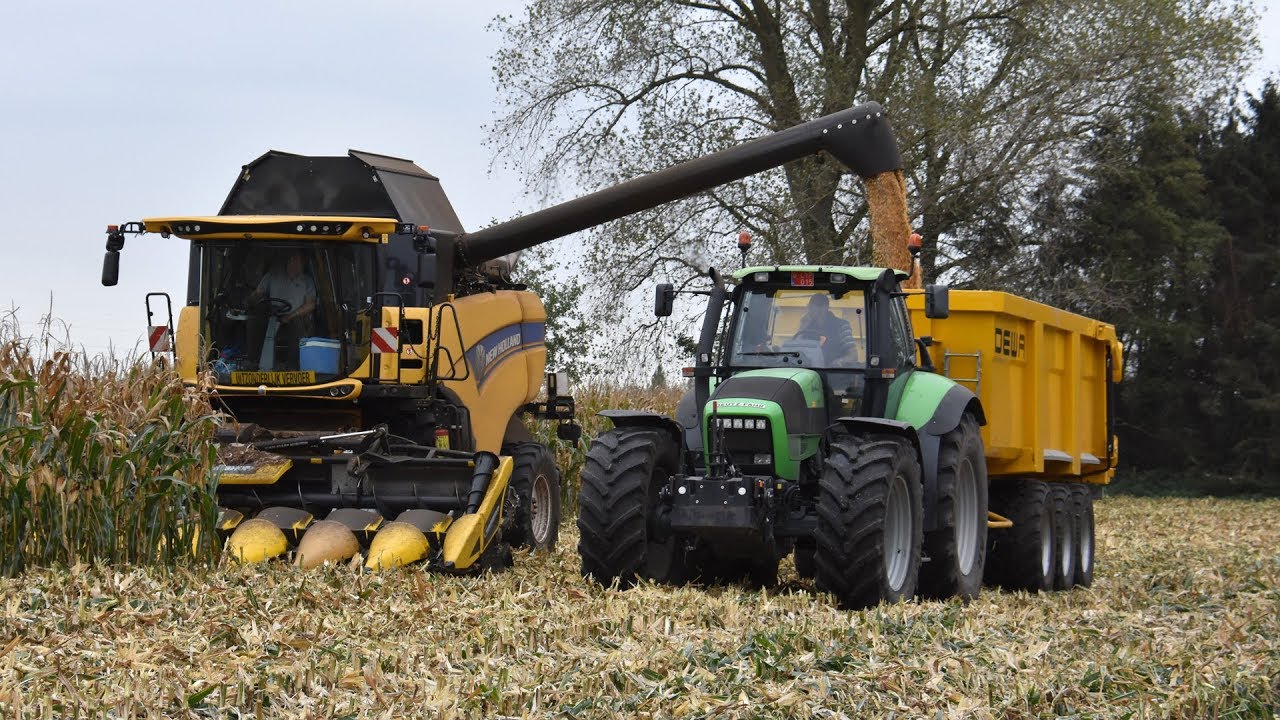 New Holland CX7.90 - Loonwerkbedrijf Kristof Willems - mais dorsen