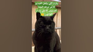 احلى تلاوة القرآن للغناء #اكسبلور #explore #explorepage #اسلام_صبحي #القرآن
