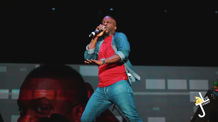 Chris 'Johnny' Daley at Rebel Salute 2020