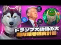 トランプ大統領の大胆な暗号通貨計画:XRP、SOL、ADAが上昇、次はペペトか?