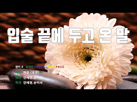 [은성 반주기] 입술끝에두고온말 - 하은(포맨)