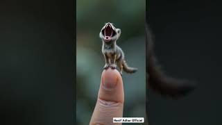 Auman Serigala Kecil Bikin Para Penakut Lari #serigalaterakhir #fypシ゚viral #shortvideo